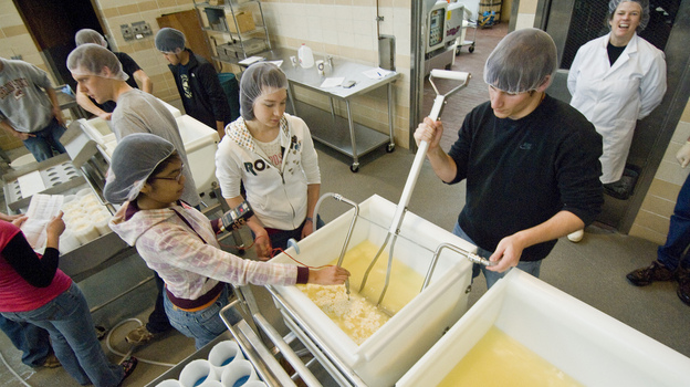 Students making Beaver Classic Cheese