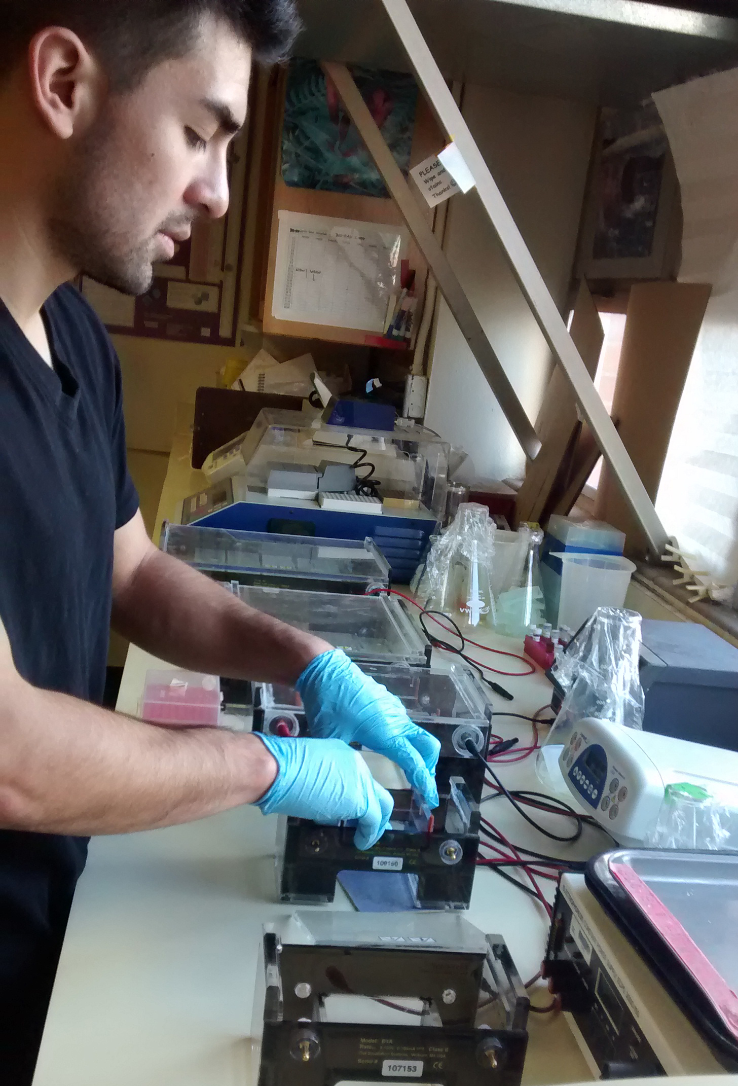 Man in a lab using a gel