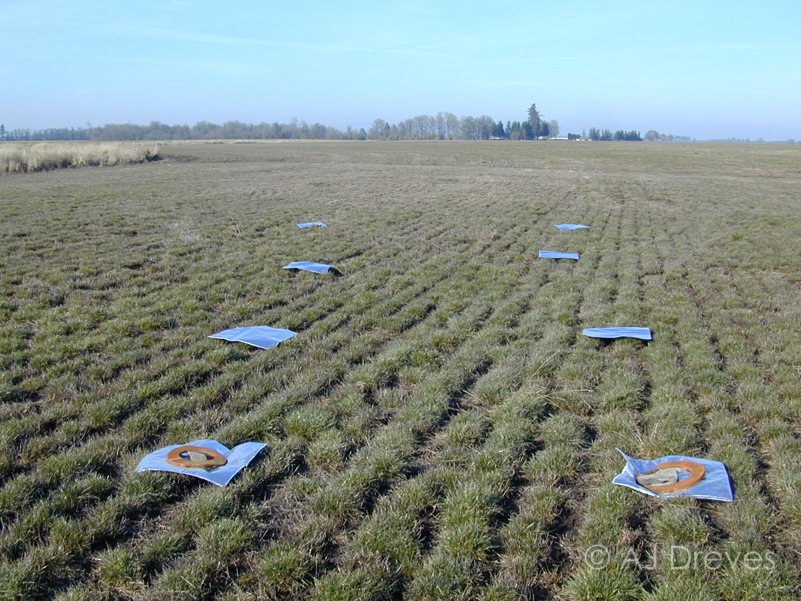 Slug blankets in a field