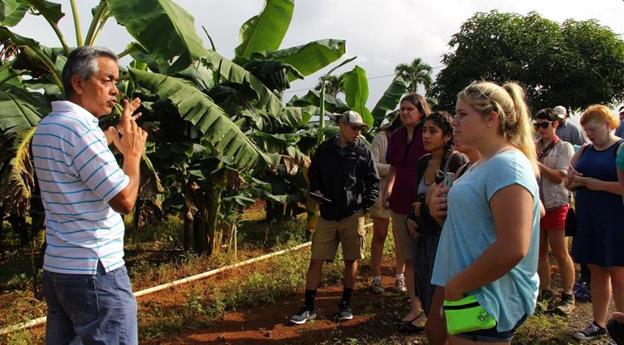 Learning about banana plant diseases at the Corozal Experiment Station
