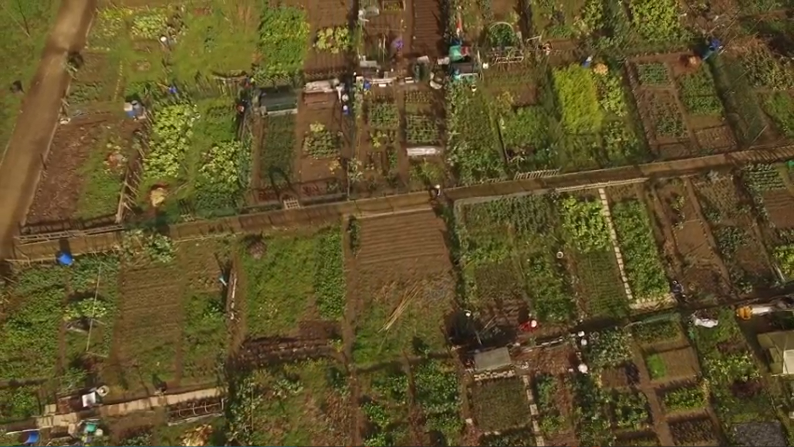 Aerial view of food production plots