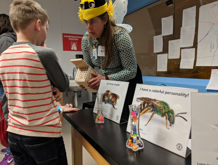 Showcasing bee information to elementary students