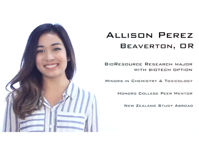 Allison Perez - New Zealand Study Abroad