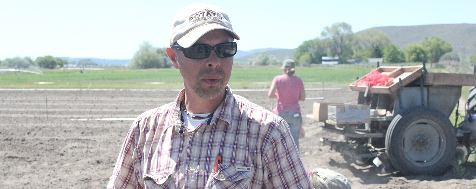 OSU agronomist Brian Charlton supervises tuber seed planting in the Klamath Basin.