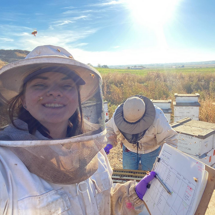 Student in a bee suit taking notes on a hive
