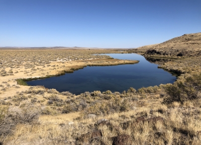 Hibbard Spring on the southern edge of Warm Springs Valley, Oregon in the Harney Basin. View looking east. Credit: Joseph Kennedy, USGS.