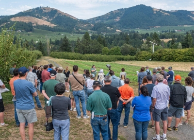 MCAREC Field Day attendees listen to Ashley Thompson, associate professor and Extension horticulturist in the College of Agricultural Sciences, as she introduces a new pear variety demonstration block designed. Credit: Alyson Yates