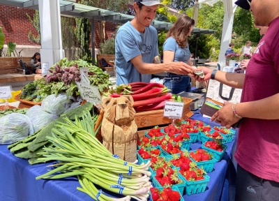 Kevin Cruz of Ejido Oso, a small-scale farm in Corvallis, completes a transaction at the market.  Credit: Chris Branam