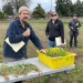 Nick Andrews, organic vegetable extension specialist for OSU, discusses how to estimate plant-available nitrogen from cover crops on April 5, 2023, at the North Willamette Research and Extension Center, Aurora. Photo: George Plaven/Capital Press