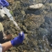 Water Sampling