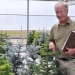 Chal Landgren with Christmas trees. Credit: Michelle Klampe, Oregon State University