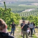 Ken Polehn, center, answers questions about the Pearl series of cherries during the 2023 Oregon State University preharvest cherry tour on June 6 in The Dalles. (TJ Mullinax/Good Fruit Grower)