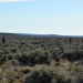 Students in the Rangeland Ecology and Management field course explore the landscape at the Northern Great Basin Experimental Range in Harney County.  Credit: Alex Dohman