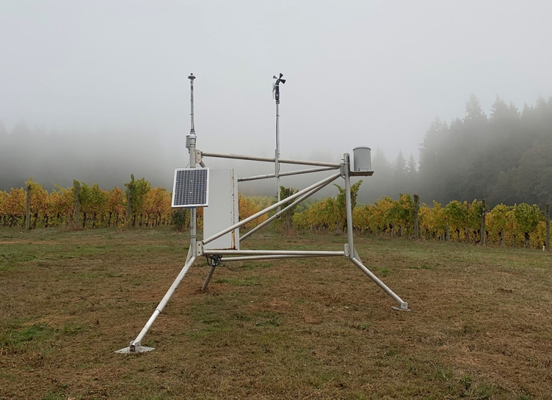 Woodhall Vineyard weather station Woodhall Vineyard weather station