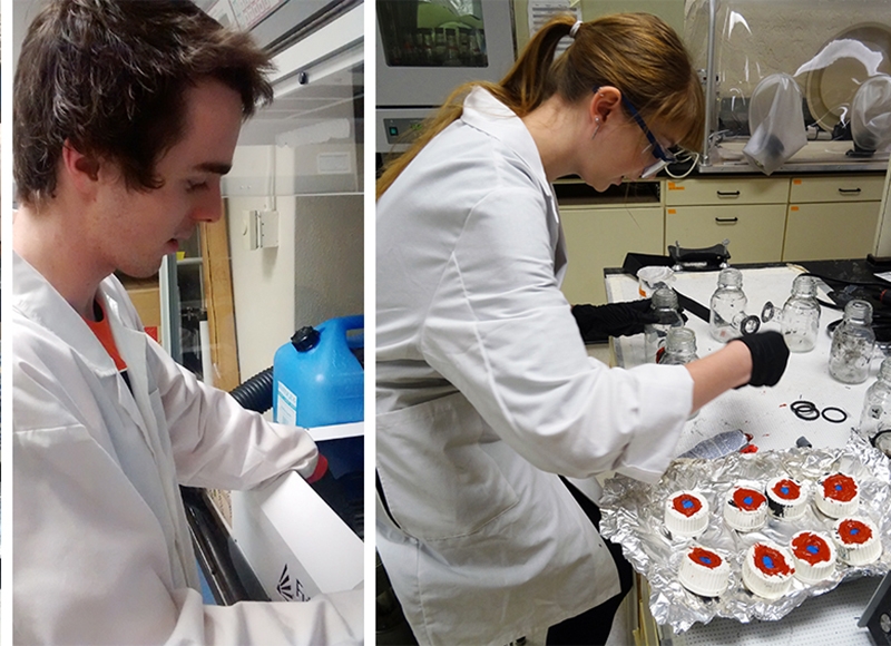 students working in a lab