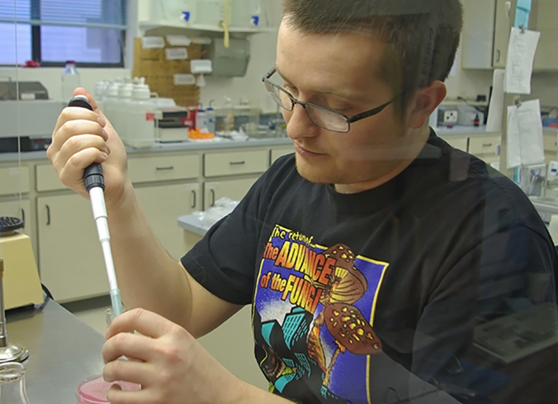 students working in a lab