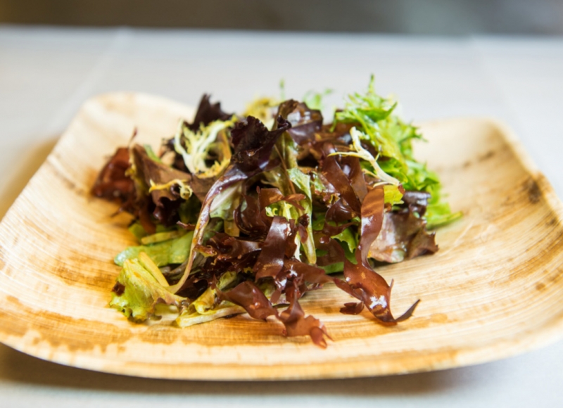 plated salad