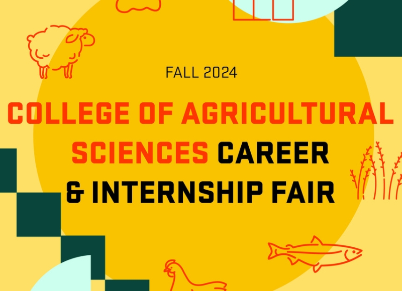 Fall 2024 CAS Career & Intership Fair