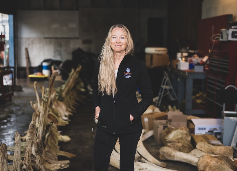 Lisa Ballance, director of the Marine Mammal Institute, stands among the bones of a blue whale. Photo by Ellie Lafferty, Oregon State University.