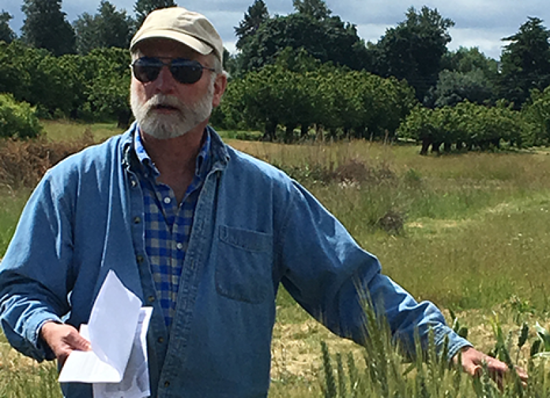 Scientist man standing with cereal grass