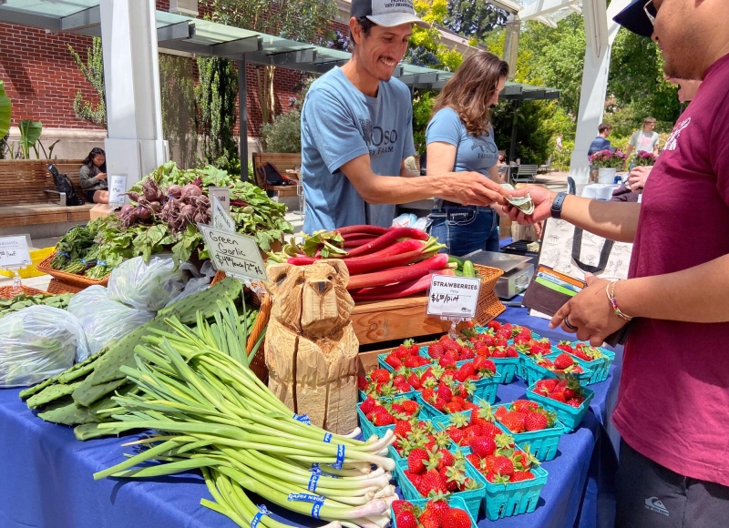 Kevin Cruz of Ejido Oso, a small-scale farm in Corvallis, completes a transaction at the market.  Credit: Chris Branam