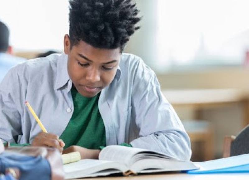Image of student studying Image of student studying