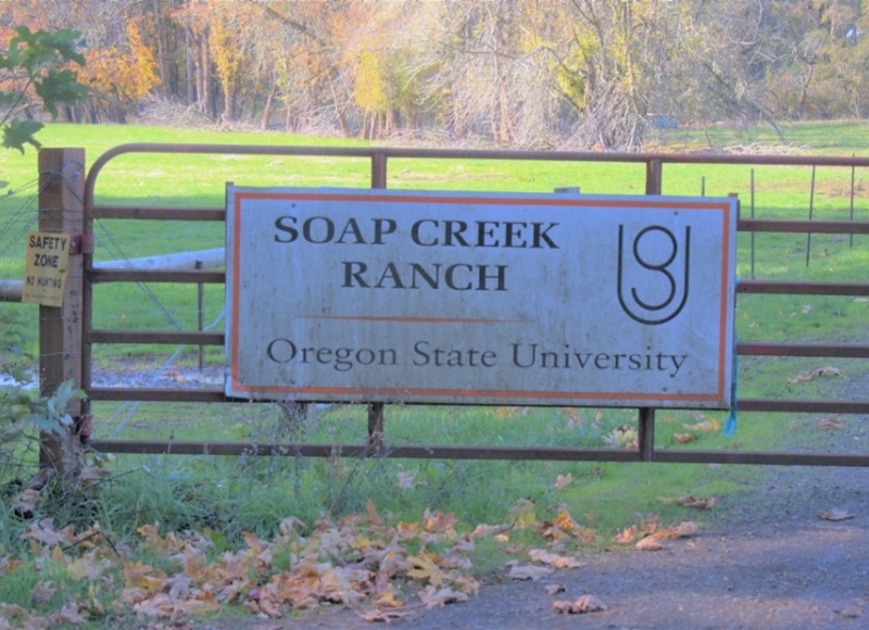 Soap Creek Ranch
