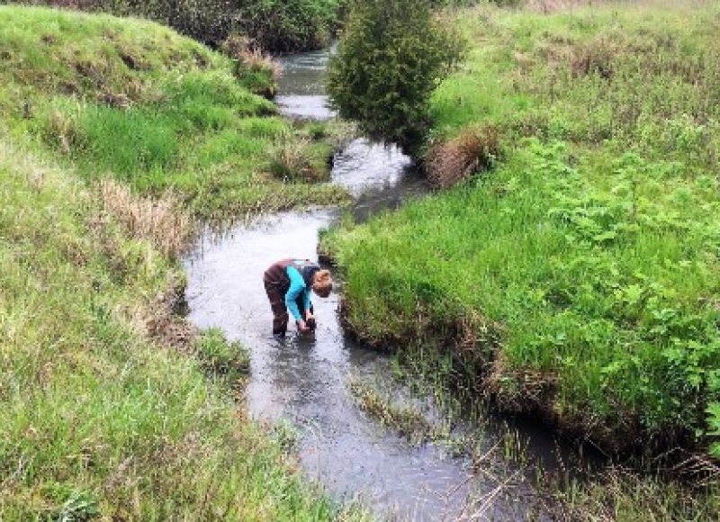 Student taking samples in a river