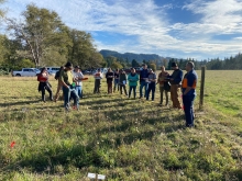 The OSU Extension Small Farms Program hosted Coastal Forage Veriety Trial Feild Day on Oct 16, 2025, at Gibson Farm in Logsden, Lincoln County, Photo Credit: Chris Branam